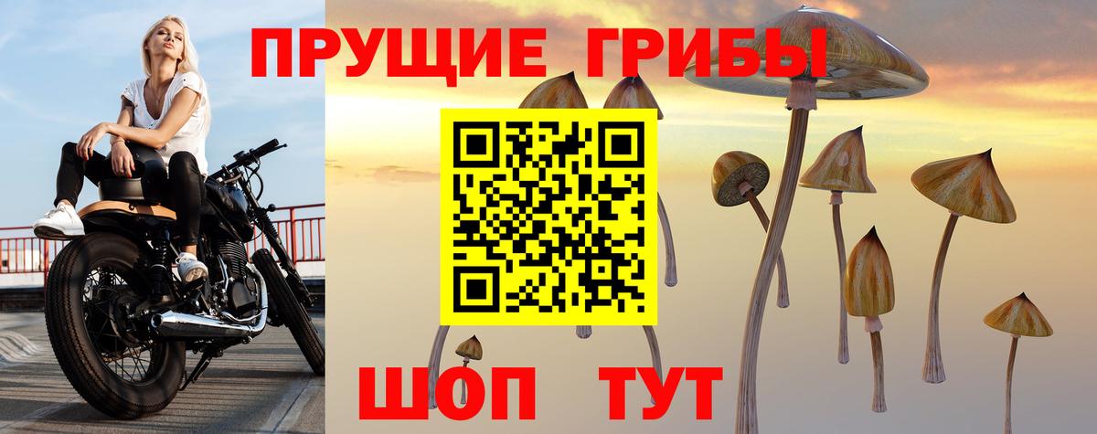 Галлюциногенные грибы Psilocybine cubensis  Вход с VPN  Галлюциногенные грибы прущие грибы  Барнаул 