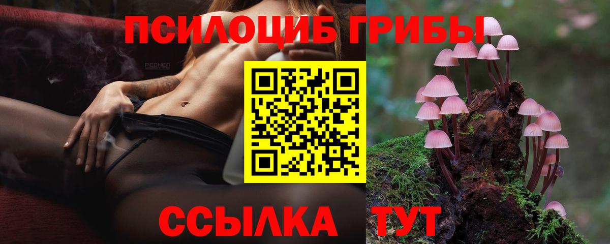 Галлюциногенные грибы GOLDEN TEACHER Барнаул